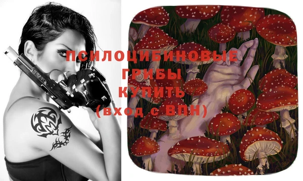 прущий лед Касимов
