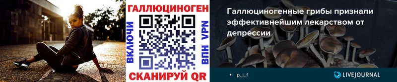 Псилоцибиновые грибы Magic Shrooms  Купить где  Анадырь 